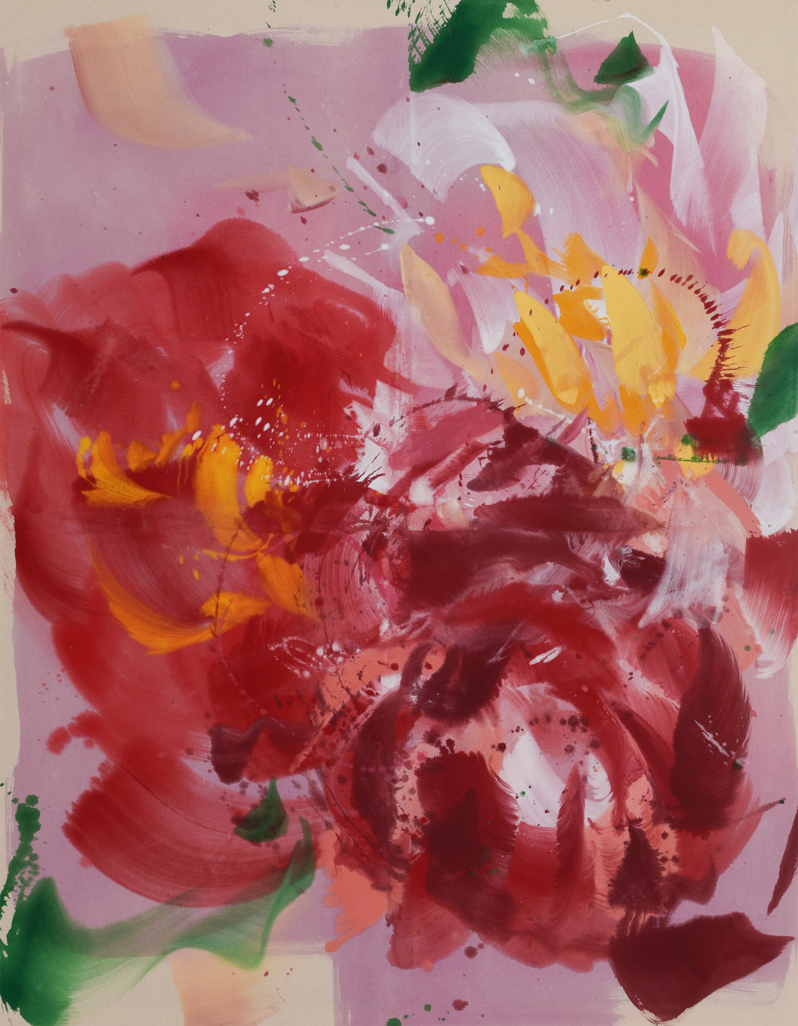 Camelia